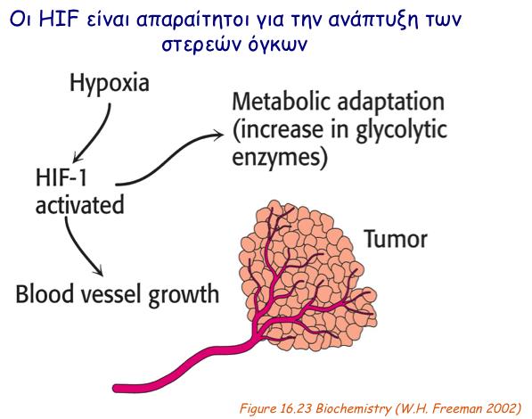 Hypoxy Aims 3